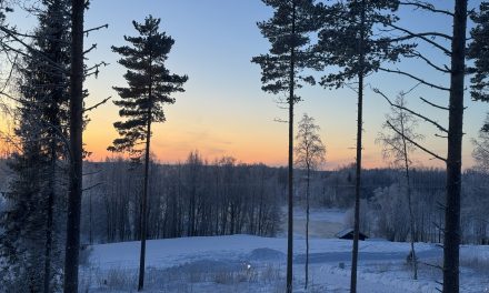 Winterrail – a magical winter journey